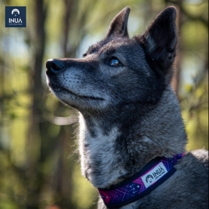 INUA Zugstopp-Halsband in electric pink