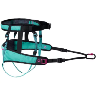 CaniX Belt 2.0 aqua/pink