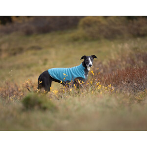 Trail quest fleece pullover