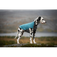 Trail quest fleece pullover