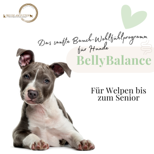 BellyBalance