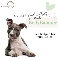 BellyBalance