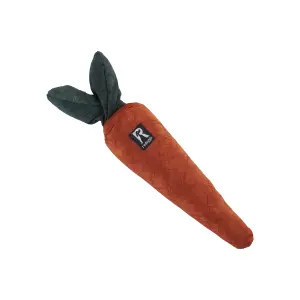 Karotte - Schnüffelspielzeug