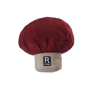 Pilz Schnüffelspielzeug für Nasenarbeit &...