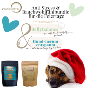 Feiertags Anti-Stress und Bauchwohl-Bundle