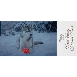 Gutschein Husky-Wanderung inkl. Gutscheinkarte goße...