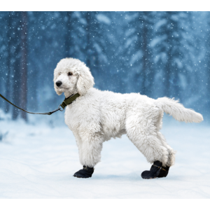 Booties VIP Arctic Protect 4-pack