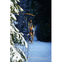 INUA X-back Gechirr Flammen