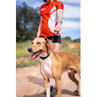 Hanzo - elastischer Kurzführer