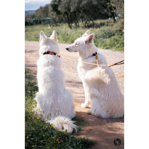 Rope pro Twin Leinen-Splitter