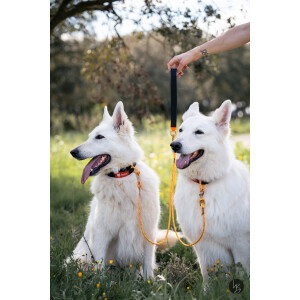 Rope pro Twin Leinen-Splitter