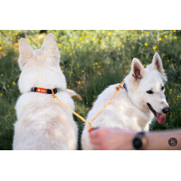 Rope pro Twin Leinen-Splitter