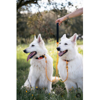 Rope pro Twin Leinen-Splitter