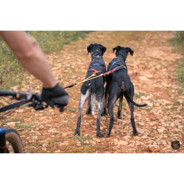 Lumac Dopelleine (2 Hunde)  Bike, Scooter & Schlitten