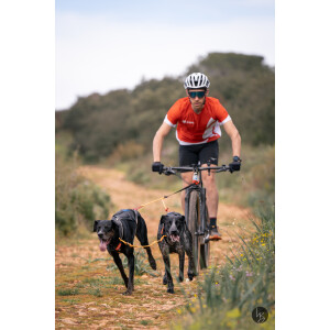 Lumac Dopelleine (2 Hunde)  Bike, Scooter & Schlitten