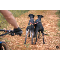 Lumac Dopelleine (2 Hunde)  Bike, Scooter & Schlitten