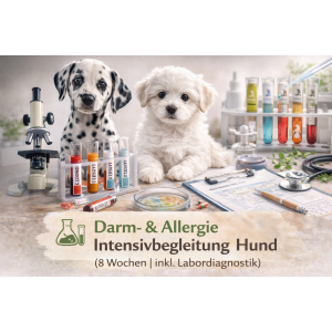 Darm- & Allergie Intensivbegleitung Hund (8 Wochen |...