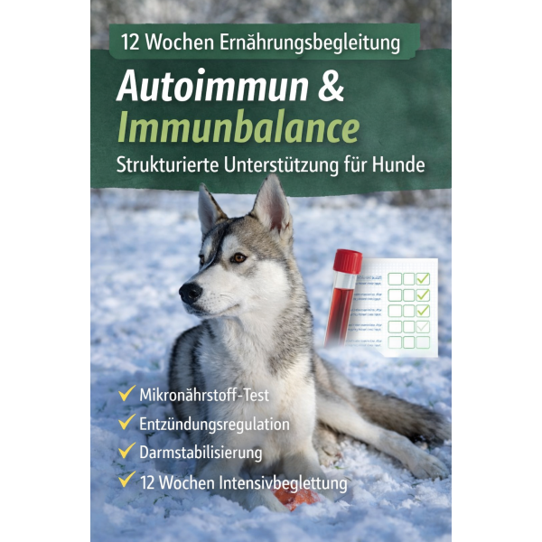 Autoimmun & Immunbalance – Ernährungsbegleitung für Hunde