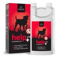 Pokusa ChondroLine Help +HA – Flüssige Gelenkunterstützung für Hunde (1000 ml)