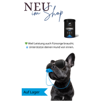 Pure Sports Isotonic Drink für Hunde