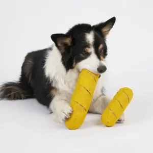 Baguette – Schnüffelspielzeug für Nasenarbeit & aktive Erholung (klein/groß)