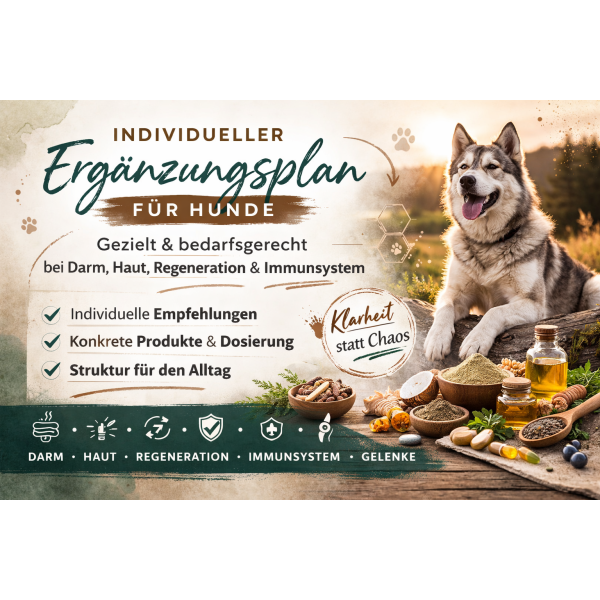 Ergänzungsplan für aktive & sensible Hunde