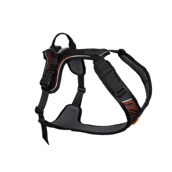 Rock Harness