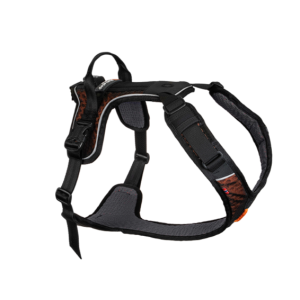 Rock Harness