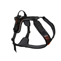 Rock Harness