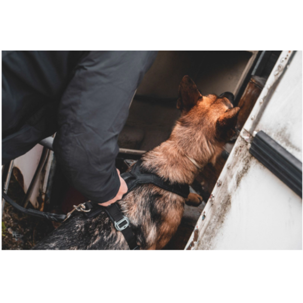 Working Dog - Line Harness Grip Metall Schnalle olive