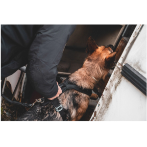 Working Dog - Line Harness Grip Metall Schnalle olive