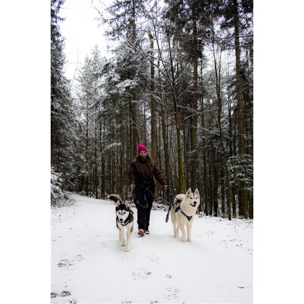 Gutschein für deine Husky-Wanderung