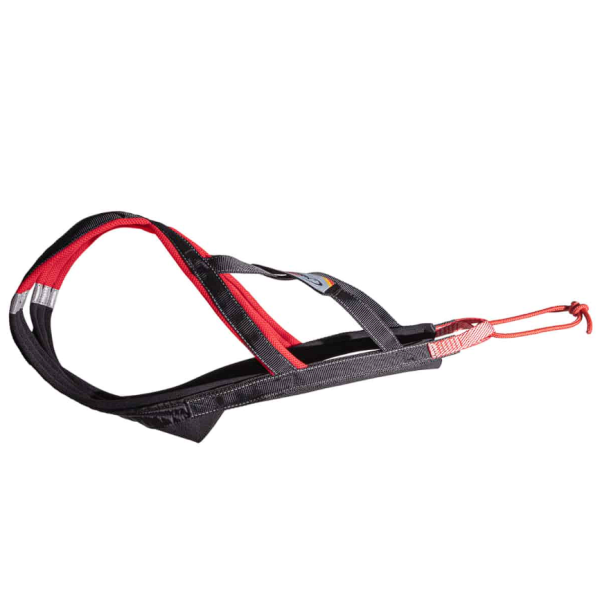 Xback Active G3