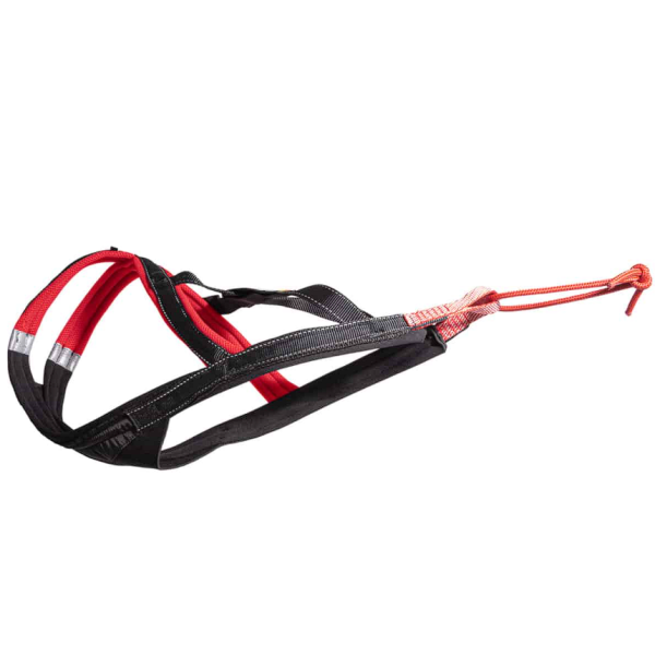Xback Active G3