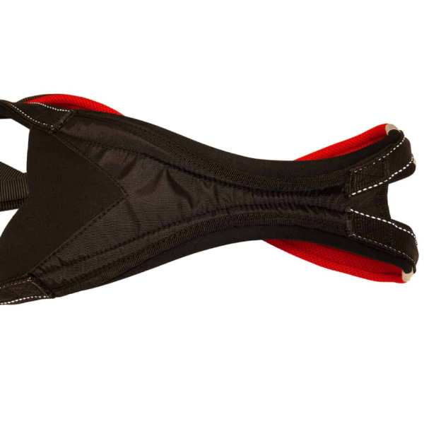 Xback Active G3