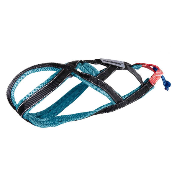 Xback Active