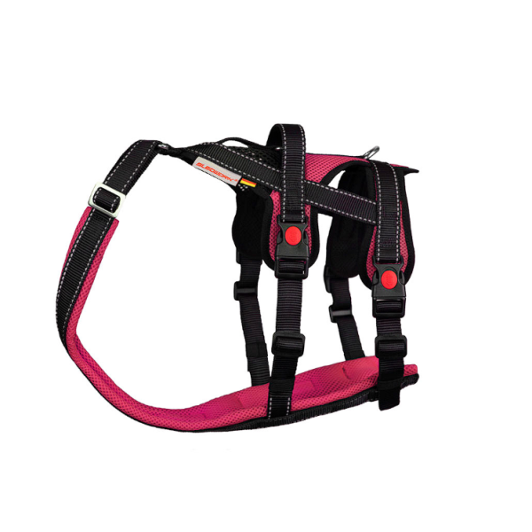 Open Range Harness