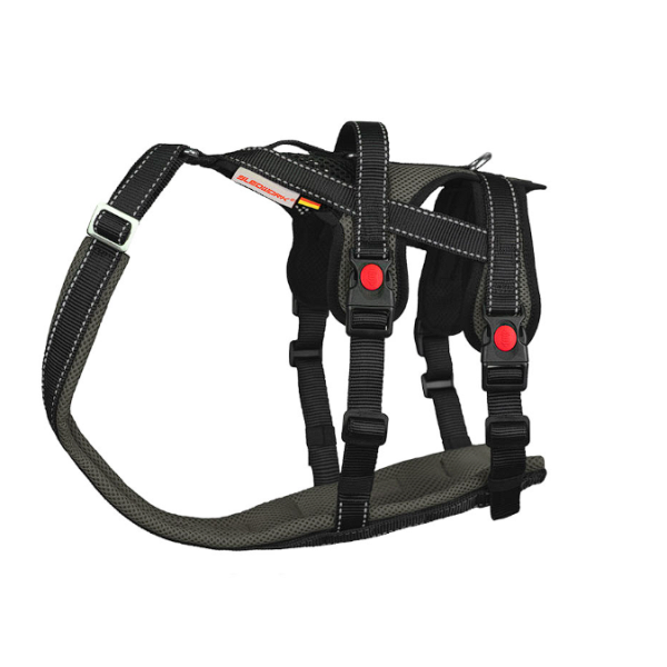 Open Range Harness