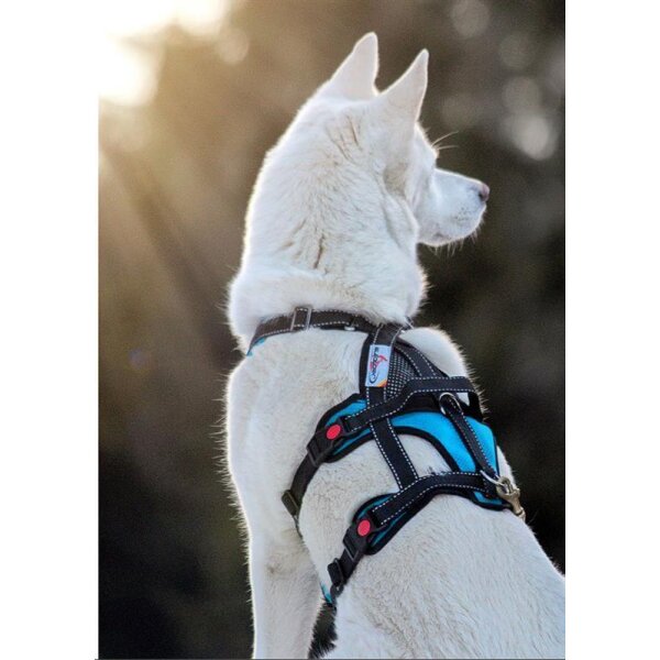 Open Range Harness