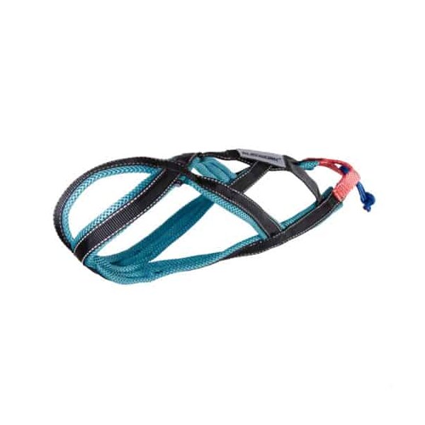 Xback Active/Active G2″mini”