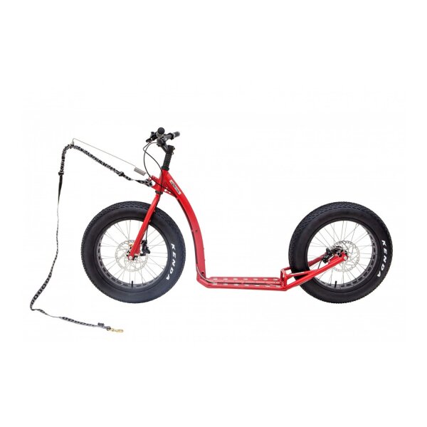 Dogscooter Kostka Raptor Max  Dog (G5)