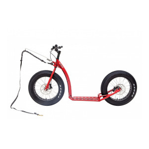 Dogscooter Kostka Raptor Max  Dog (5) ohne Ständer und Schutzblech