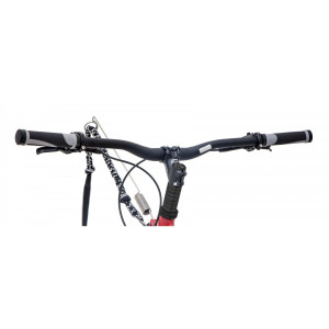 Dogscooter Kostka Raptor Max  Dog (5) ohne Ständer und Schutzblech