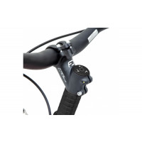 Dogscooter Kostka Raptor Max  Dog (5) ohne Ständer und Schutzblech