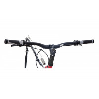 Dogscooter Kostka Raptor Max  Dog (5) ohne Ständer und Schutzblech