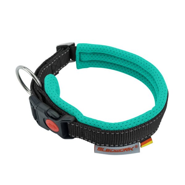 Racing Collar – Arctic click