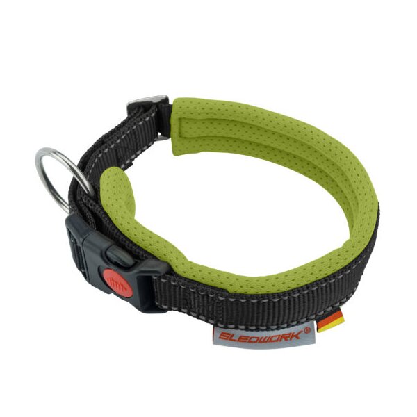 Racing Collar – Arctic click