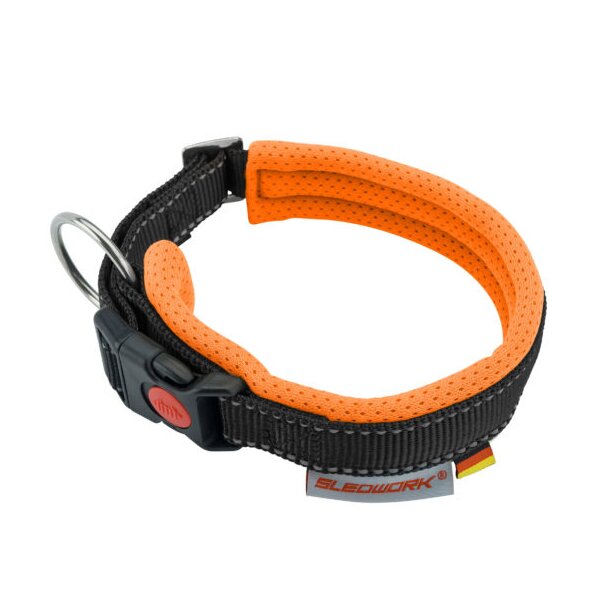 Racing Collar – Arctic click