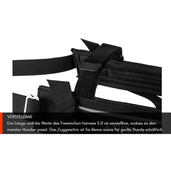 Freemotion Harness 5.0