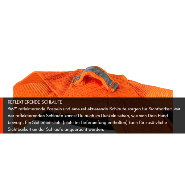 Freemotion Harness 5.0